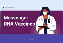 Messenger RNA Vaccines